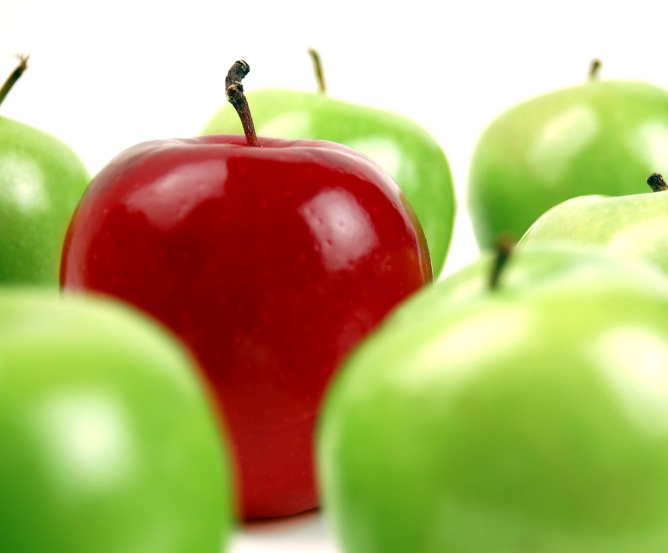 apfel-gruen-rot © Fotolia.com