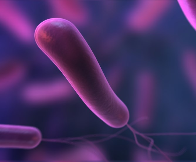 helicobacter-pylori © Fotolia.com helicobacter-pylori © Fotolia.com