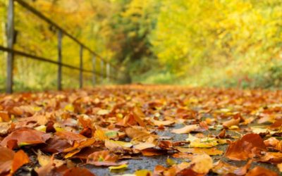 Wenn das Herbstwetter Schäden am Haus anrichtet