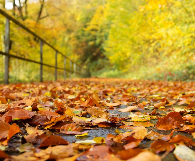 herbstwetter © Fotolia.com