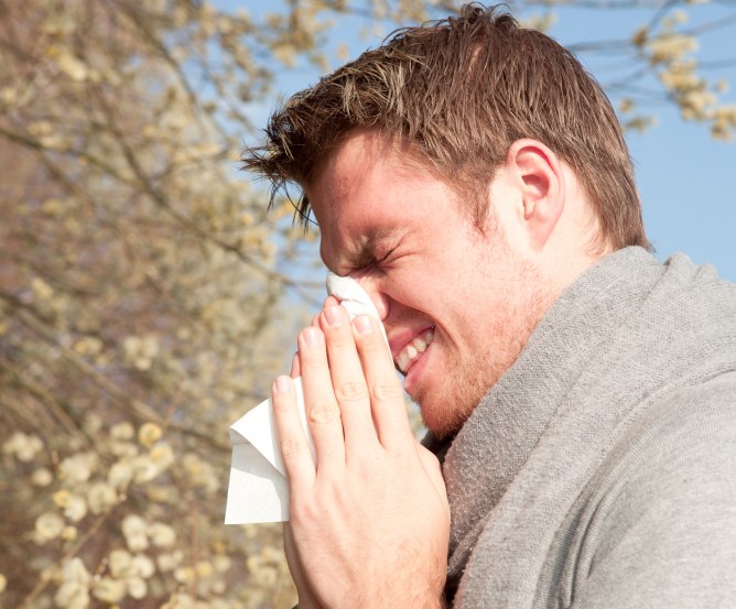 heuschnupfen-pollenallergie © Fotolia.com