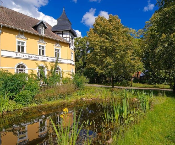 Länderinstitut für Bienenkunde Hohen Neuendorf © Frank Liebke