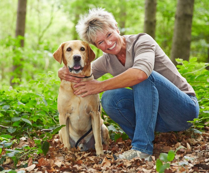 hundehalter-haftpflicht-verkehrsunfall © Fotolia.com