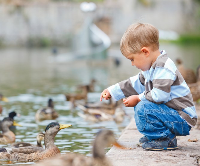 kind-teich-pflegefall © Fotolia.com