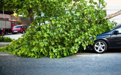 Welche Versicherung zahlt Sturmschäden am Auto?