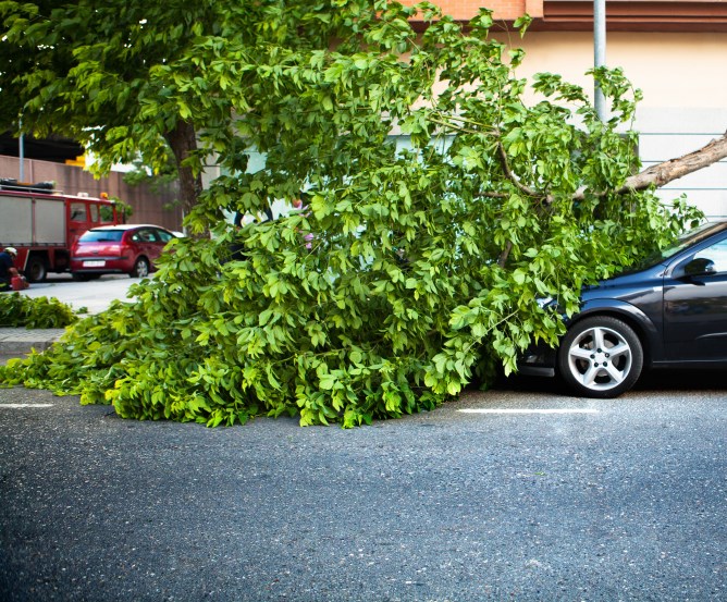 sturmschaden-auto-versicherung © Fotolia.com