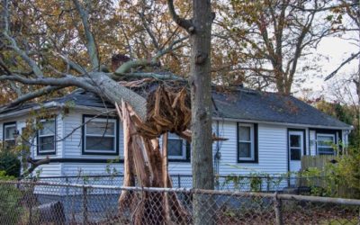 Immobilien: Sturmschäden können teuer werden