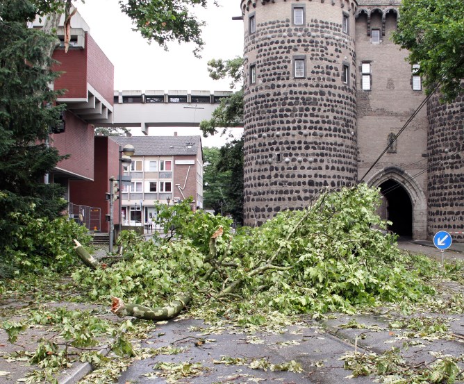 Kaskoschaden durch unmittelbaren Sturmeinfluss