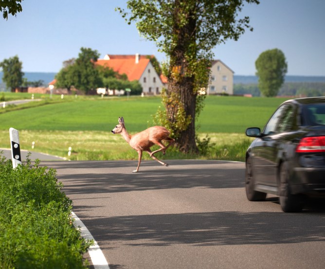 Welche Leistungen umfasst eine Teilkaskoversicherung? © Fotolia.com