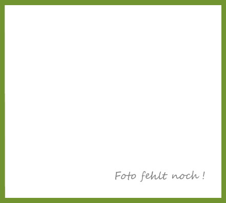 versicherung-klein-bild-fehlt
